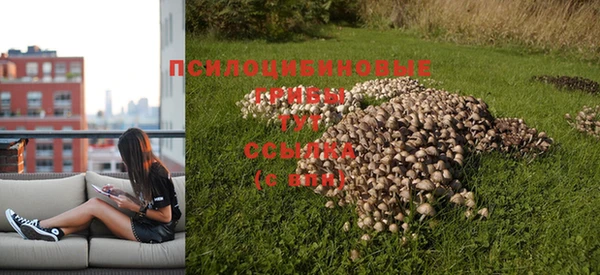 сатива Алексин