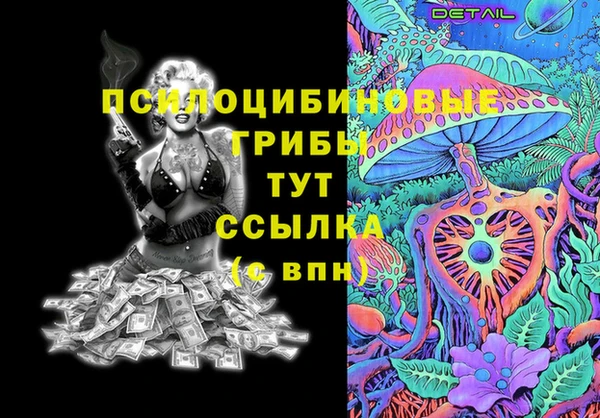 сатива Алексин