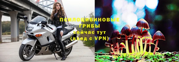 дурь Алексеевка