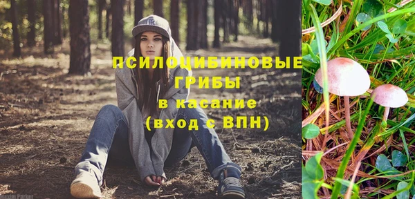 сатива Алексин