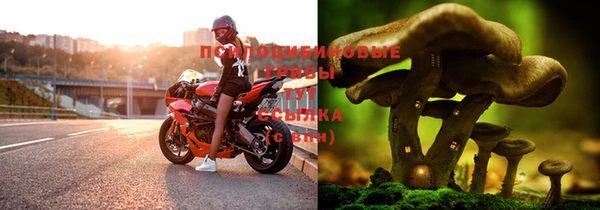 дурь Алексеевка