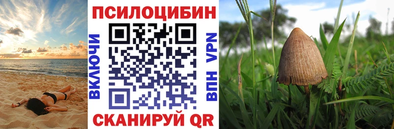 Псилоцибиновые грибы Cubensis  Могоча 
